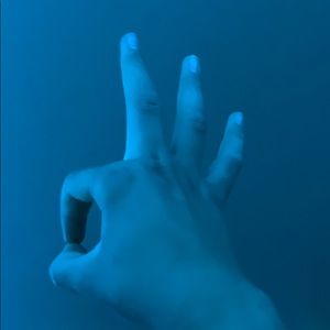 Meet your Posher, Charlie